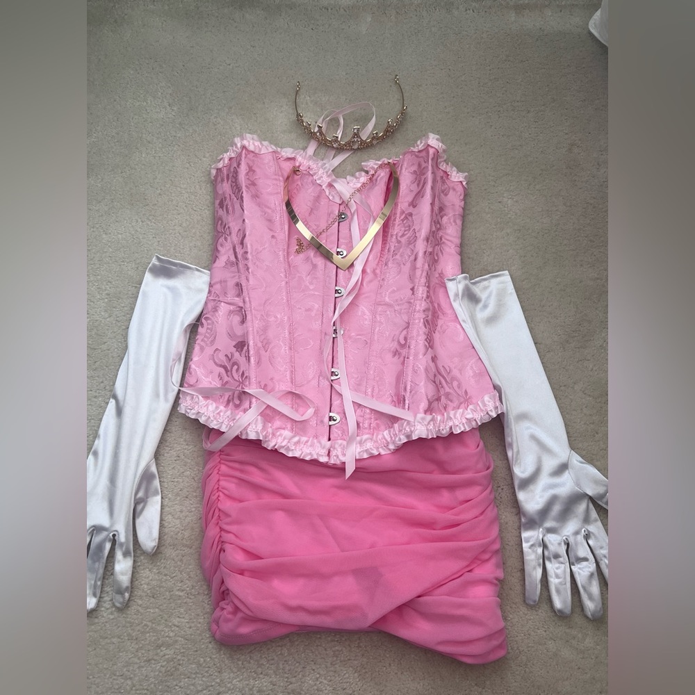 Sleeping Beauty Costume